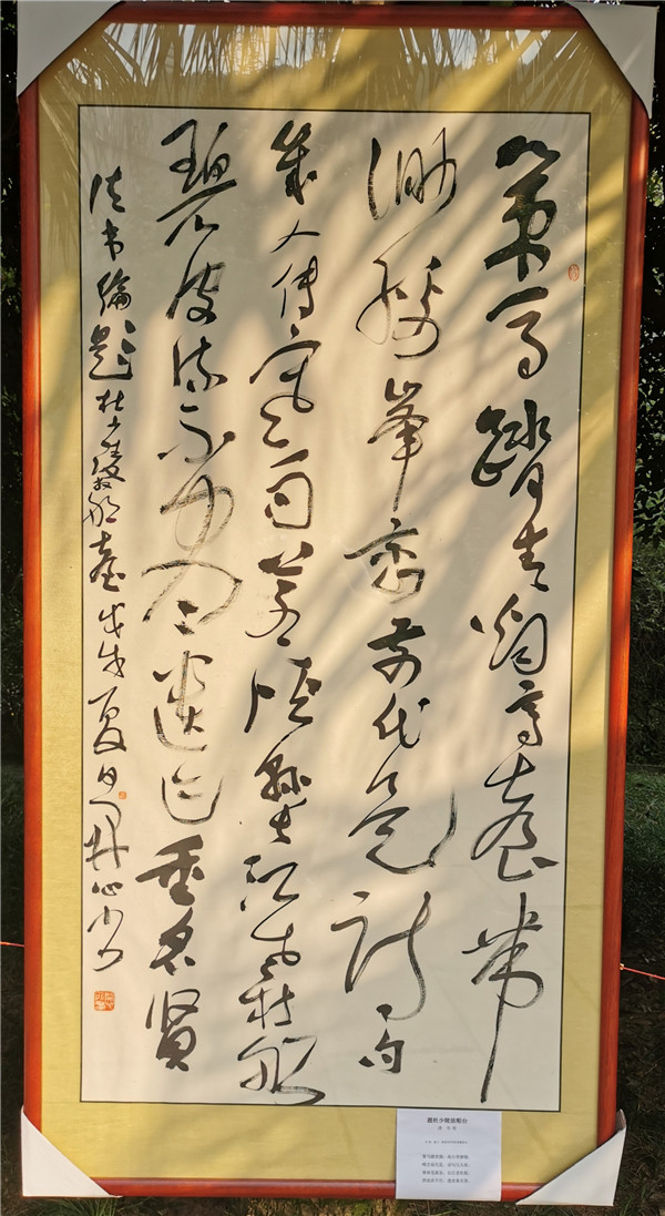 IMG_20191004_165555.jpg