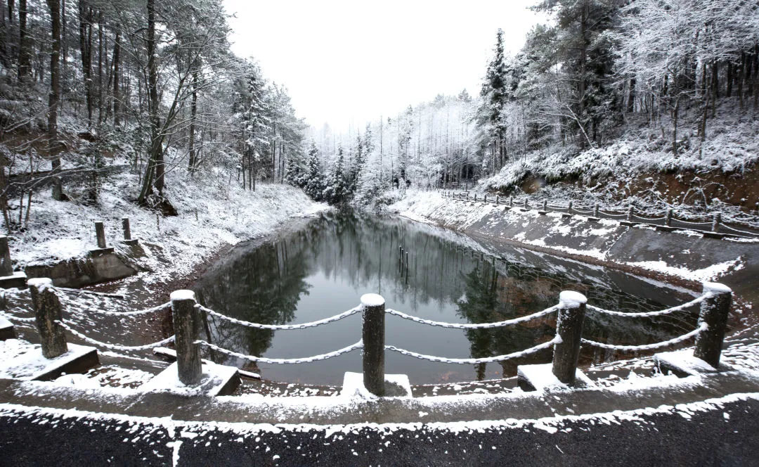 苍溪人拍苍溪｜赵洪文先生镜头下的梨乡雪